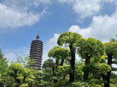 -西海子公园