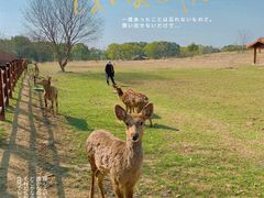 -良渚文化村
