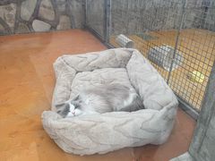 -北京市海淀外国语实验学校