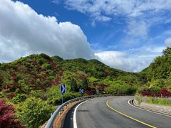 -四明山国家森林公园