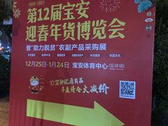 -深圳市宝安体育中心体育场