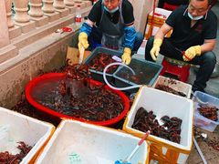 -小田油焖小龙虾(双井店)