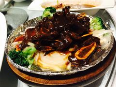 -碧丽宫大酒店(召稼楼店)