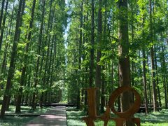 -黄海国家森林公园