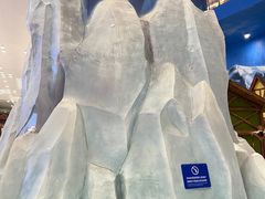 -湘江欢乐城欢乐雪域