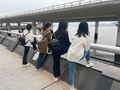 -演武大桥观景平台