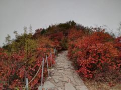 -神农山景区