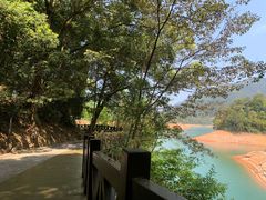 -广州市流溪河国家森林公园