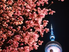 -东方明珠广播电视塔