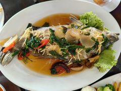 -Green Tree Rest. & Pub