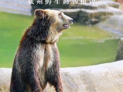 -杭州野生动物世界