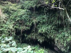 -海口火山口国家地质公园