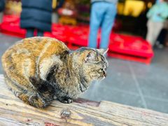 -龙华素斋(龙华路店)