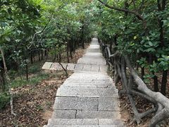 -梧桐山风景名胜区