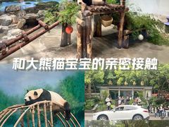 -杭州动物园