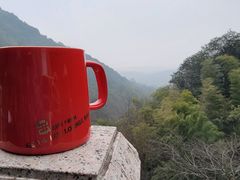 -韬光茶庵