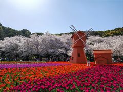 -苏州上方山国家森林公园