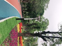 -文华公园(禅城区)