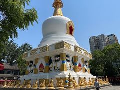 -护国法轮寺