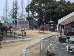 -上海佘山茂御臻品之选酒店(原佘山艾美酒店)
