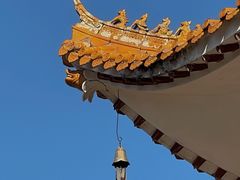 -深圳仙湖植物园