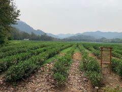 -国生茶庄·地道农家菜团建活动