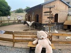 -HERRE·FARM 赫尔露营农场·团建聚会包场