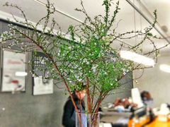 -研途咖啡馆(健康路店)