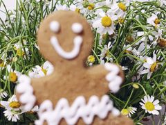 -卖呆儿咖啡(望京店)