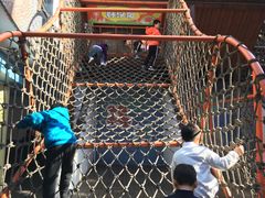 -中国福利会少年宫