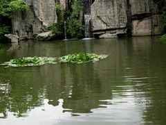 -溱湖国家湿地公园