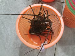 -沙田台山海鲜·酣客酒窖