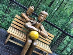 -黄海国家森林公园