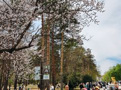 -黑龙江省森林植物园
