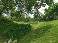 -后襄河公园