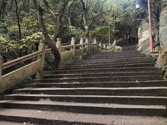 -普陀山风景区-佛顶山