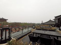 -德发长·花式蒸饺(大唐不夜城店)