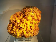 -中国地质大学逸夫博物馆