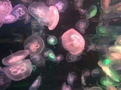 -水上乐园·欢乐世界