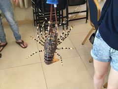 -顺峰渔港中国人的餐厅