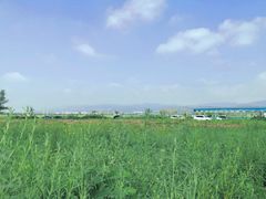-敕勒川草原