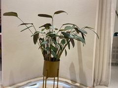 -星美科技皮肤管理中心(国贸店)