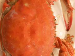 -苏大嘴海鲜牧场(奥林匹克店)