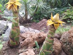 -南通洲际绿博园