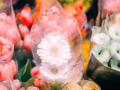 -循礼门鲜花花市(武汉循礼门店)