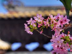 -宝墨园景区