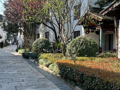 -东山雕花楼