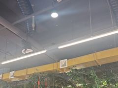 -成老灶火锅鸡(平山店)