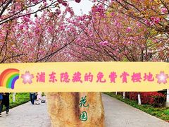 -高东镇樱花园