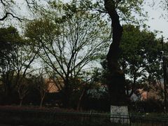 -中国丝绸博物馆